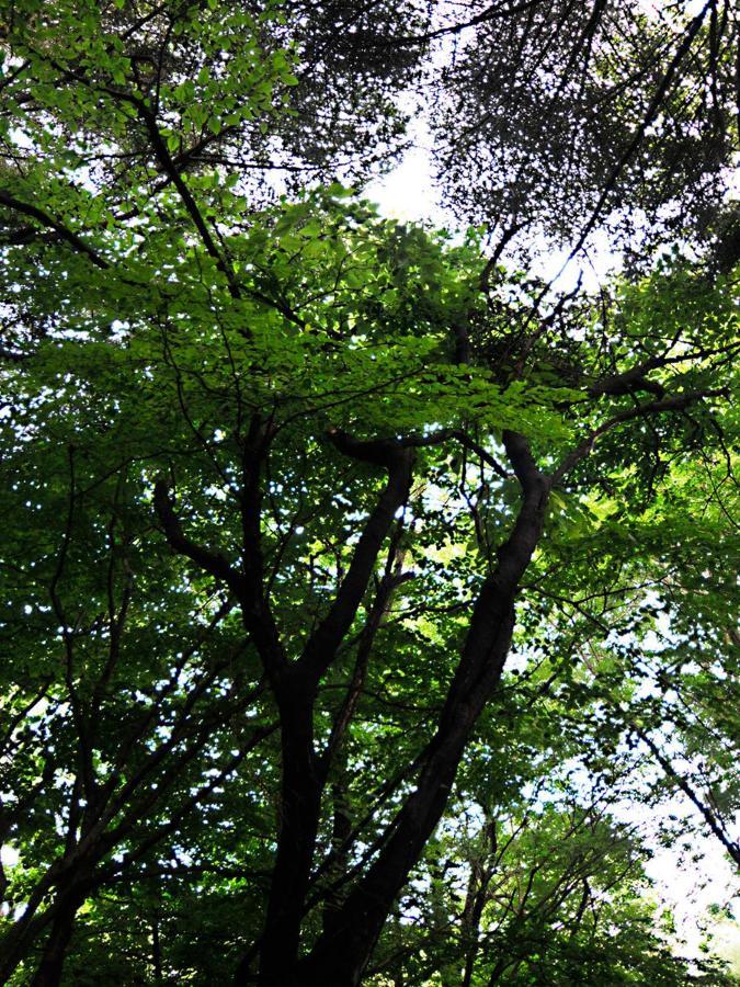 大人スイート 那須高原 結 Cottage Nasu Exterior photo